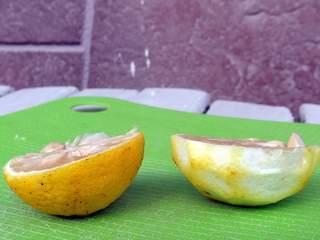 柚子の種類と特徴 柚子の効能とレシピ