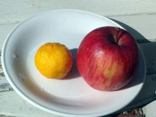 柚子の実レシピ 柚子の効能とレシピ